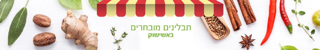 אשישוק