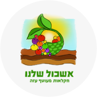 עבור לדף הבית של אשכול שלנו