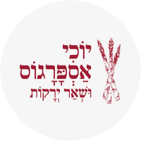 עבור לדף הבית של יוכי אספרגוס