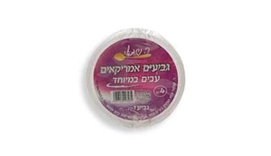 גבעים אמרקאים
ר. שמאי
