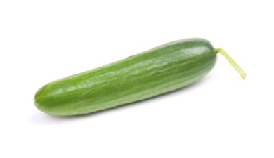 מלפפון