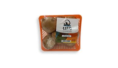 פטריות פורטבלה
מוגו, טבעי