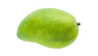 מנגו קיט