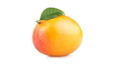 מנגו שלי, פרימיום
