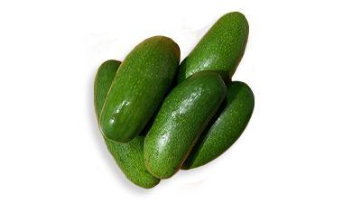 פינגר ליים