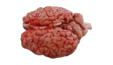 מח בקר
Beef Brain, חלק - מהדרין