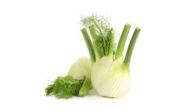 שומר
fennel, אורגני