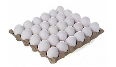 ביצים 30 יח'
L