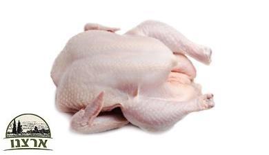 עוף אורגני שלם
Whole Organic Chicken, אורגני גידול חופש