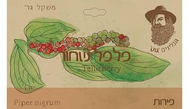 פלפל שחור פירות
תבליני גוט, אורגני