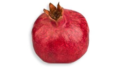 רימון עכו