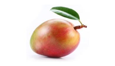 מנגו , פרימיום