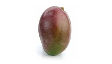 מנגו טומי, פרימיום