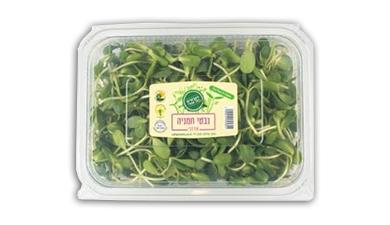 נבטי חמניה ענק
הנבטים של אודי