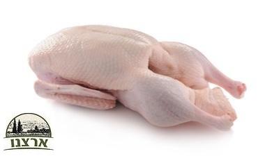 ברווז שלם Whole Duck, ללא אנטיביוטיקה