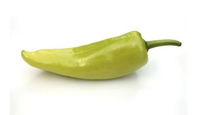 פלפל שיפקה טרי