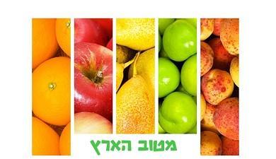 תרסיס שמן זית כתית מעולה בכבישה קרה כרם, טבעי
