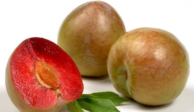 שזיף מטלי